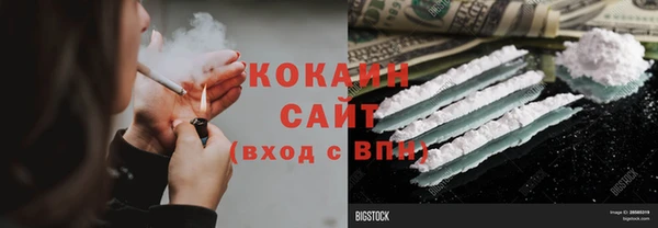 прущие грибы Белоозёрский