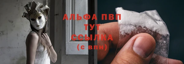 прущие грибы Белоозёрский
