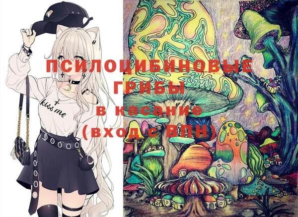 прущие грибы Белоозёрский