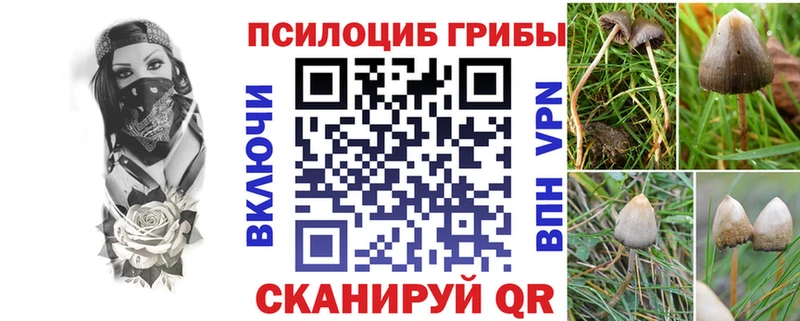 Псилоцибиновые грибы Magic Shrooms  Гулькевичи 